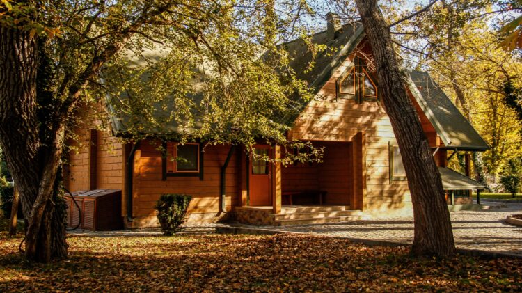 Tratamiento Eficaz Donde la Apariencia Importa image